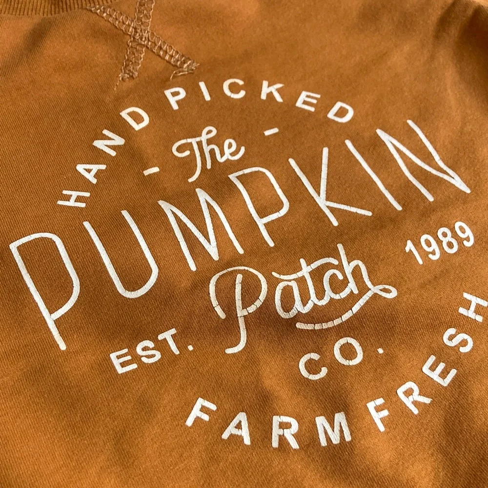 Size 24 month Pumpkin Patch Kids Rust Orange Crewneck Sweatshirt, Cotton Fall